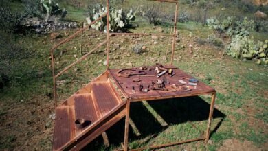 digital tools for enhancement