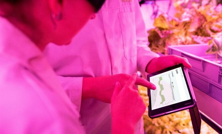 empower growth with technology